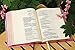 NIV, Artisan Collection Bible, Cloth over Board, Pink, Art Gilded Edges, Red Letter, Comfort Print