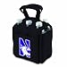 PICNIC TIME NCAA Northwestern Wildcats Six Pack Beverage Carrier