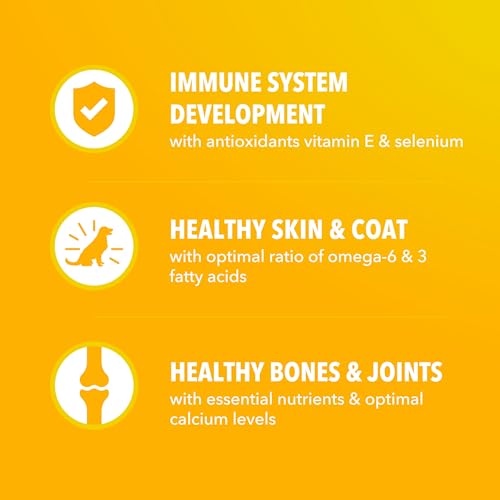 IAMS Proactive Health Dry Puppy Food Chicken, 5 lb. Bag