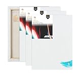 Variety Canvas Lienzo preestirado de 9 x 12 pulgadas, 3 piezas para pintar con marco de madera