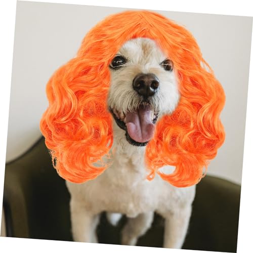 Peluca para mascota accesorio disfraz para perro naranja miniatura 7