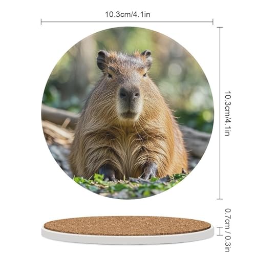 Dessous de verre Capybara céramique antidérapant résistant chaleur