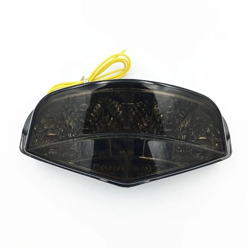 Feu de frein moto LED clignotant intégré pour balade nocturne en Monster