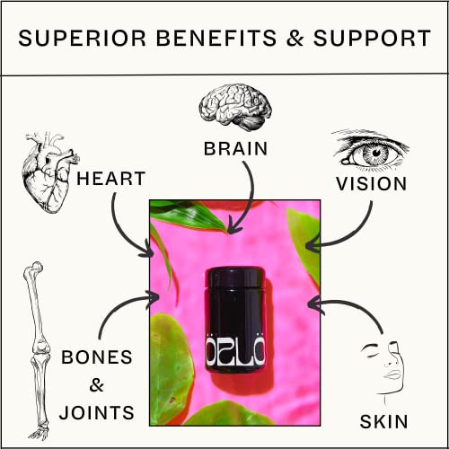 Orlo Nutrition Dha – Vegan Algae Omega 3 Kit | 3X Active Strength - Clean Alternative To Fish Oil Supplements | Softgels For Joints, Eyes, Heart, Immune & Brain Health Support | 60 Servings #TOP2