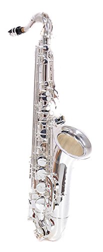 Playtech　テナーサックス 41yL6zZLQmL.jpg