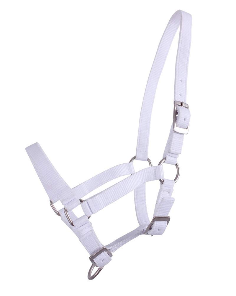 Cabezada de nylon blanco para el entrenamiento de potros Minishetty