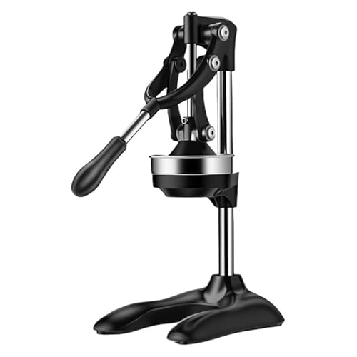 Rosoy W[T[AڂA蓮W[XvXAXeX|At[cʏ`Aƒp/Ɩp (dC߂F) (ubN)