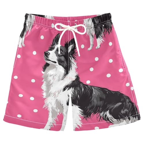 Jucciaco Boys Beach Board Shorts Collie Shepherd Dog Swim Trunk Teen Swimwear Multicolor