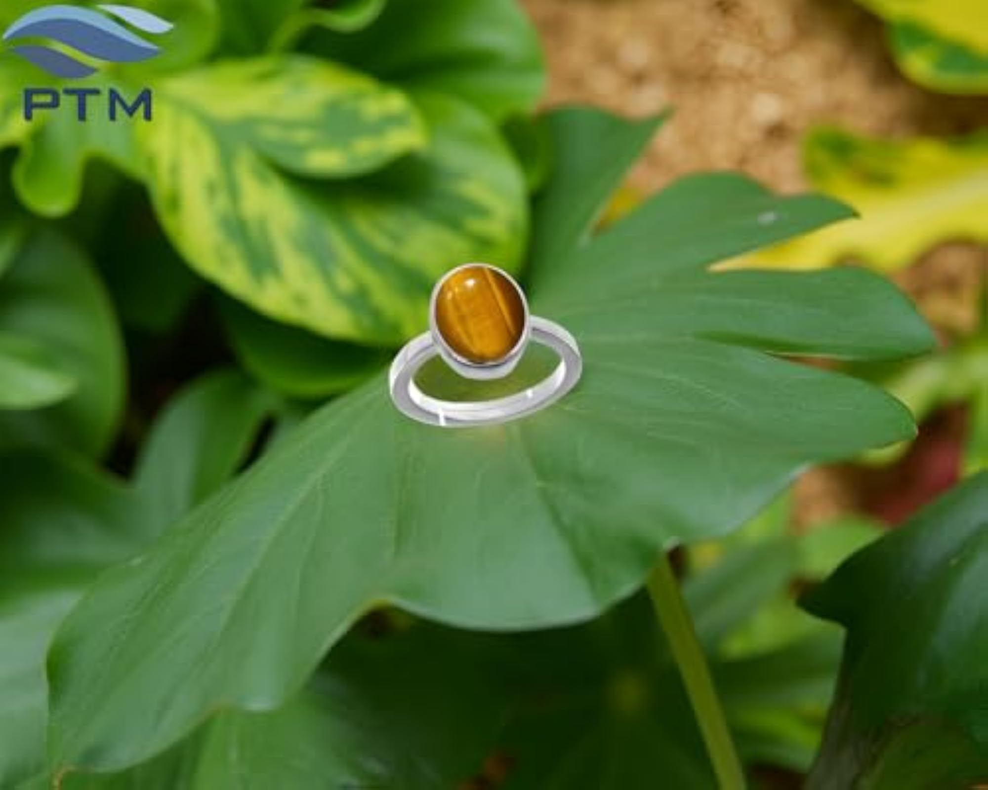 Women's Tiger Eye 8.25 Ratti Adjustable Ring, 925 Sterling Silver