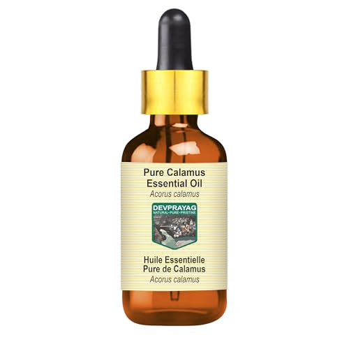 Devprayag Calamus Essential Oil (Acorus Calamus) with Glass Dropper | Pure | Non-Sticky | Non-Greasy | Lightweight | Men & Women | All Skin Types | Steam Distilled 5ml (0.16 oz)