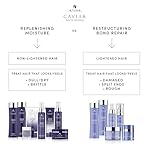 Alterna CAVIAR Anti-Aging Replenishing Moisture Conditioner | For Dry, Brittle Hair | Protects, Restores & Hydrates | Sulfate Free - Image 3