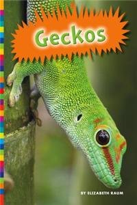 Geckos (Lizards) 1625883099 Book Cover