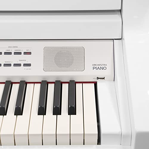 Divarte, Orchestra Piano WH , Piano numérique quart de queue 88 touches, Bluetooth audio/MIDI, écran LCD multifonctions… - Les Beatles, Paul McCartney, John Lennon, RIngo Starr, George Harrison Divarte, Orchestra Piano WH , Piano numérique quart de queue 88 touches, Bluetooth audio/MIDI, écran LCD multifonctions… – Image 4