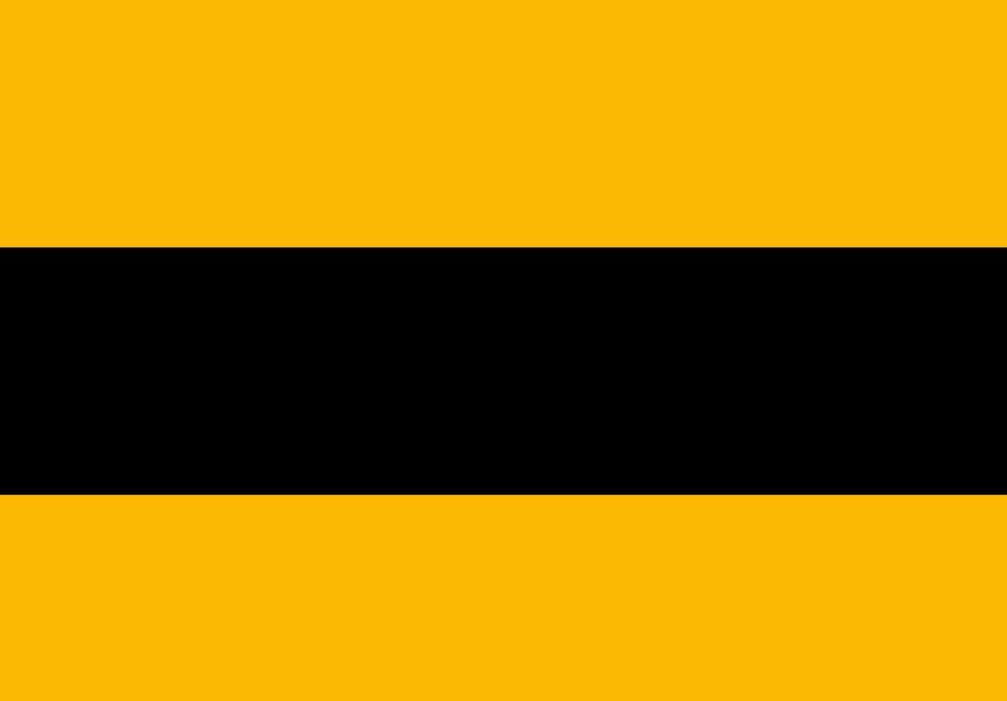 Drapeau Nijmegen vlag vintage grand format pour retrouver les couleurs d'époque