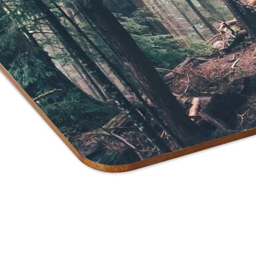 Sets de table souples dessous liège napperons forêt pin brumeuse grand format - 4