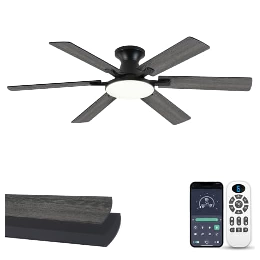 iacaf Ceiling Fans with Lights,54 Inch Low Profile Ceiling Fan with Light and Remote Control,6 Speeds/6 Blade,Flush Mount,LED Dimmable DC Reversible Modern, Black Ceiling Fan for Bedroom/Living Room