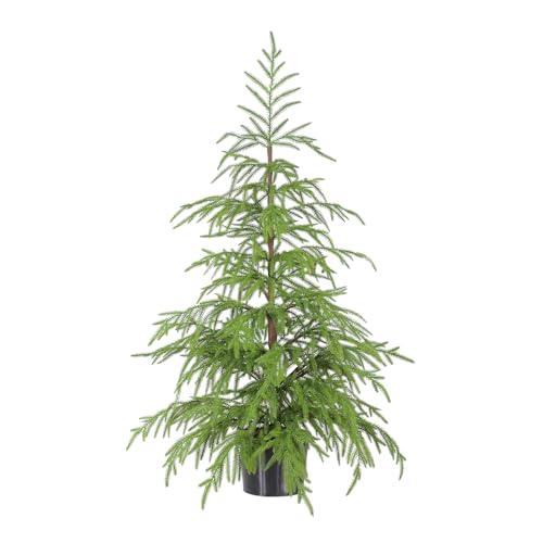 WBHome 3ft Tabletop Artificial Norfolk Pine Tree - 36' Faux Tree Potted Green for Front Porch...