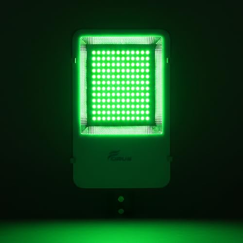 Image of Forus 100W Green Street Light Outdoor LED IP66 Waterproof Decorative Focus Lamp for Road Garden Events Security Terrace Landscape Pathway Building Festival Stage Party Celebration Lighting - 1 Pc
