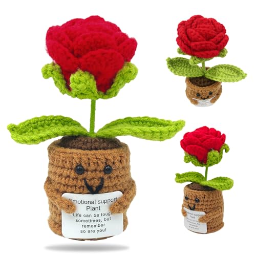 FOSDICK Fleur Positive, Crochet Rose Rouge Fleurs, Crochet à la Main Patate Positive Fleur Rose Rouge, Message Positif Fleurs avec Carte, Fete Anniversaire & Merci Cadeau Femme Homme Famille Amis