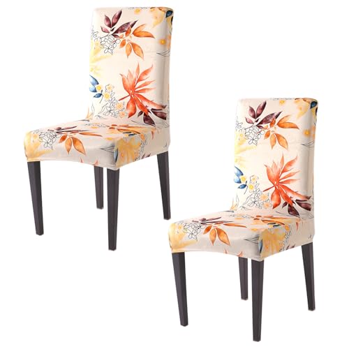 Image of HOKIPO Premium Printed Velvet Chair Cover Set of 2 for Dining Table, Amber Serene Flora (AR-5794-D3*2)
