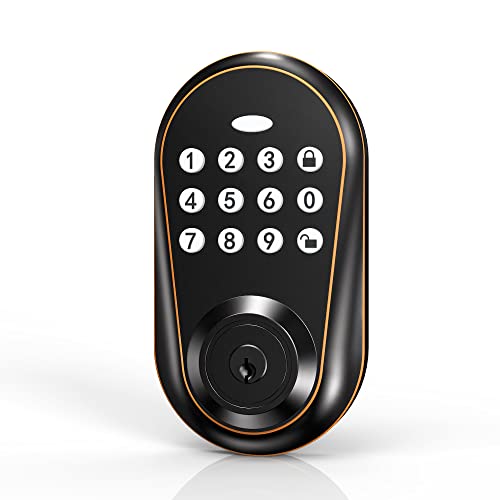 IRONZON Door Locks with Keypads Front Door Lock Deadbolt Lock Keyless Entry Door Lock with 3 Keys Auto Lock F150