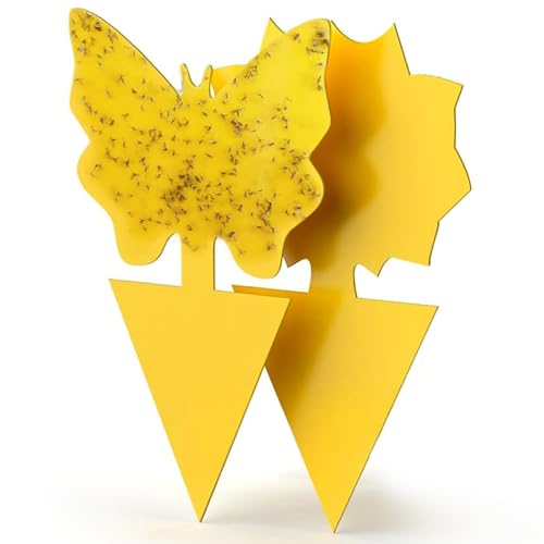 Sticky Insect Traps 40 Pcs - Gnats Fruit Fly Traps