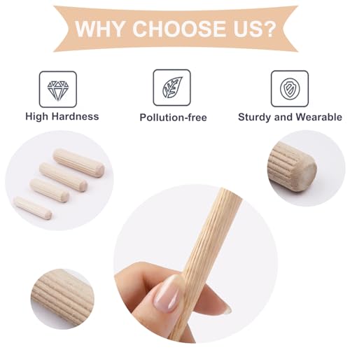 image for smseace 230Pcs Wooden Dowel Pins 1/4