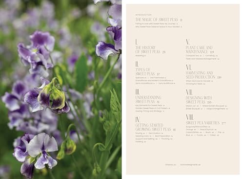 Sweet Pea School: Growing & Arranging the Garden's Most Romantic Blooms - Image 5