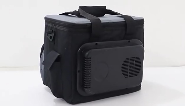Amazon.com: WODHMIEY 15L Portable Electric Cooler Bag,Car Cooler