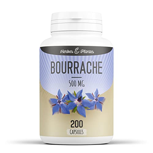 Herbes Et Plantes Bourrache 200 Capsules 500 mg