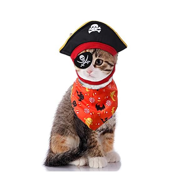 Anelekor pet dog halloween costume cat pumpkin hat and spider bandana set halloween cat apparel with glasses funny pet clothes for small dogs kitten kitty