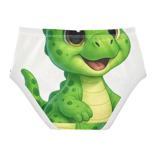 Girls Underwear Toddler 2t Cotton Girl Panties Cute Fun Print Briefs Girls Undies Cute Cartoon Dinosaur2