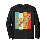 Dog school service dogs team work training breeds