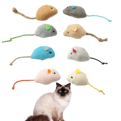 Lifetips o[} Birman Lp lY~ʂ 8Zbg qL L V XgXU ^s ӂӂf L炵  ybgObY