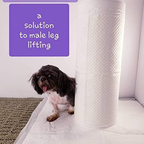 indoor dog pee pole
