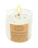 Mountain Breeze - Peppermint, Eucalyptus and Ginger Spice Candle Decorated with Dry Eucalyptus - Lar