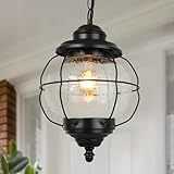 classy leaves Outdoor Pendant Lights for Porch, 10-Inch Black Farmhouse Outdoor Pendant Light Fixture, Waterproof Exterior Onion Pendant Hanging Lighting with Seeded Glass Globe