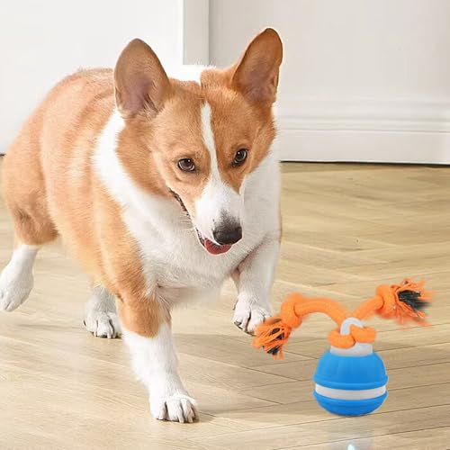 Balle interactive pour chiens : la solution pour occuper votre chien actif - 4