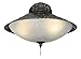 Fanimation LK122A Antique Bamboo Fan Light Kit with White Frosted Glass