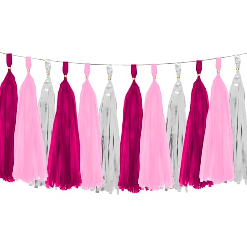 Rose Red Pink and Silver Tassel Garland Paper Tissue Tassels Garland for Party Decorations, Pack of 15