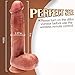 2026 New Dilbo for Women R Realistic Dick 8.5
