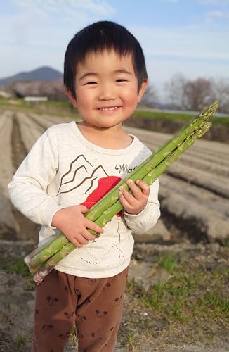 [多度津町産]さぬきのめざめ(特大サイズ約50cm)4本入り[令和7年2月下旬頃より発送][L-34]