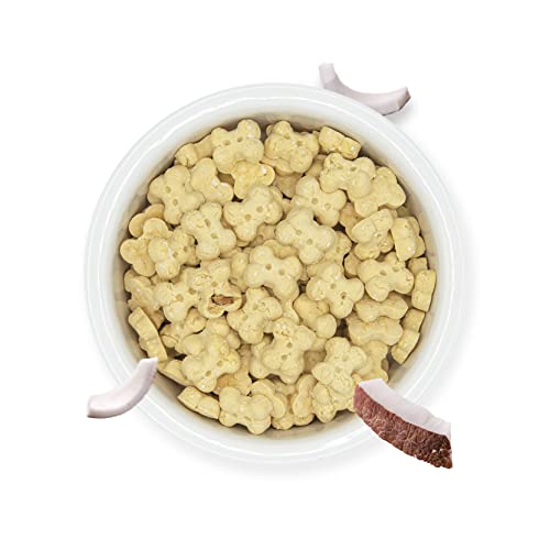 2G Pet Food Coconut Cookies für Hunde, Kokosnuss, natürlicher und gesunder Snack, hergestellt in Italien, mit Kokosnuss aus knusprigen und echten Flocken, perfekt für alle Größen und Alter
