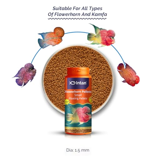 Image of Intan Flower Horn Pellets (Small 1.5mm Floating) | 160gm - Highly Nutritious Ornamental Fish Food for Flowerhorn & Kamfa | Growel Feeds
