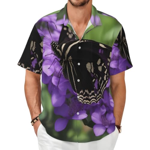 Chemise d'été manches courtes col boutonné homme finitions haut de gamme