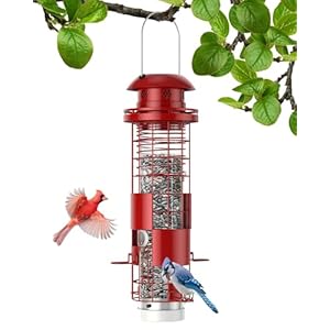 Metal Squirrel Proof Bird Feeder for Outdoors Hanging, Wild Bird Seed Feeder with Weight Activated Perches, Outside Bird Feeders with Cardinal, Finch, Sparrow, Small Medium Birds- 3LB Large Capacity