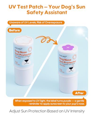 Image of Dog Nose Sunscreen Balm SPF 25 - Natural, Lick-Safe Sun Protection with Shea Butter & Sea Buckthorn - Moisturizes & Shields Sensitive Noses - Fragrance-Free