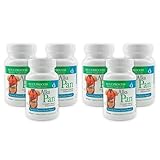 Morter HealthSystem Alka•Pan (6 Pack) Best Process Alkaline — Natural Digestive Supplement — Pancreatic Enzymes with Antioxidant-Rich Superfoods & Digestive Herbs