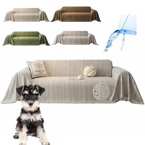 Lifetips ViEU[iMiniature Schnauzerj \t@[Jo[ k  􂦂 h }`Jo[ 2l| 3l| It IȂ ~ Eh~ LΉ lGʗp iO[j i230180CMj