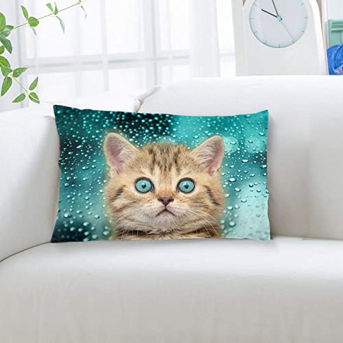 Blue Eye Cat Pillowcase For Hair And Skin - Bed Home Sofa Decor Pillow Cover,Super Soft Travel Pillow Cases With Hidden Zipper Closure Print (14X20 Inch) #TOP6